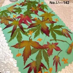 あ様 リクエスト 2点 まとめ商品