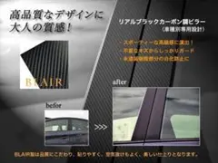 エリシオン RR1/2/3/4/5/6型　日本製４Ｄブラックカーボン調ピラー