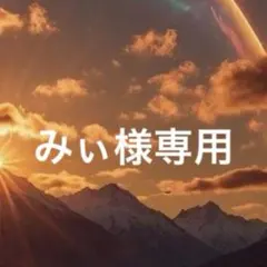みぃ様専用 新春代理参拝 お守り付き 霊視鑑定