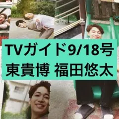 ビジターQ」DVD 遠藤憲一 内田春菊 三池崇史 マニア カルト 廃盤 レア
