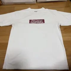 タグ付 美品 スタンダードカリフォルニア Tシャツ オレンジ L スタカリ