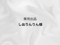 しおりんりん様 専用出品