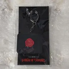 ENHYPEN HOUSE OF VAMPIRE ヒスン ボイスキーホルダー