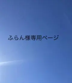 ふらん様 リクエスト6点 まとめ商品