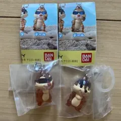 ディズニーキャラクター　めじるしアクセサリー　Summer チップ＆デール