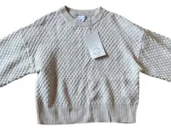 Item thumbnail for item 4c6f3b80-536e-4f13-8a2e-9be10717eff5