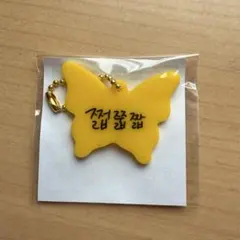 NCT DREAM ランダムトイ チョンロ アクリルチャーム