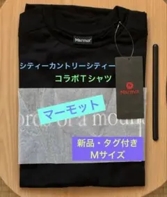 Item thumbnail for item edba9fbe-f31d-4066-ad5e-d59be38fae53