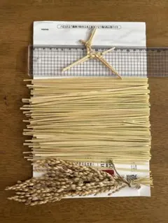 Item thumbnail for item 79a31036-887b-43ba-800f-813b8beb8b39