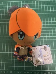 ポケモンマスターズ　EX ぬいぐるみ　キバナ