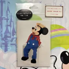 ディズニー⭐️写真 フォト 10枚 ミッキー&フレンズ