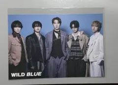 WILD BLUE ポストカード