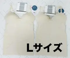 5940円 Lサイズ GUNZE KIREILABO Fitte 下着