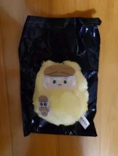 西園寺羽京 くるみたぴぬい