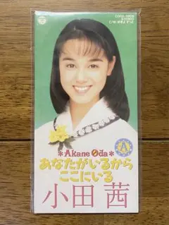 Item thumbnail for item 61c35312-f2db-485f-9999-477839fc8311