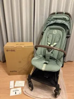 サイベックスコヤ　リーフグリーン×ローズゴールドフレーム