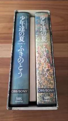 ふきのとう VHSビデオ2本組／ 少年達の夏 デビュー15周年記念ライブ
