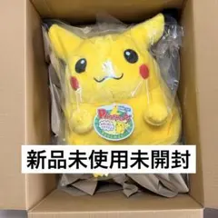 『ポケモン30周年記念』おかえりピカチュウ1/1