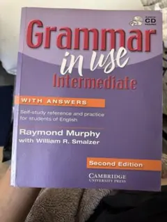 grammer in use intermediate 2nd 2版