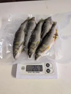 さら様 リクエスト 4点 まとめ商品