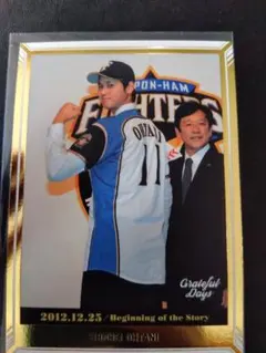 2026年最新】大谷翔平 カード 日本ハムの人気アイテム - メルカリ