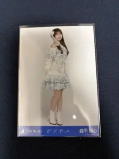 乃木坂46 森平麗心 ビリヤニ ビジュアルカード B - メルカリ