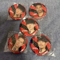 バレーボール男子日本代表 カプセル缶バッジコレクション