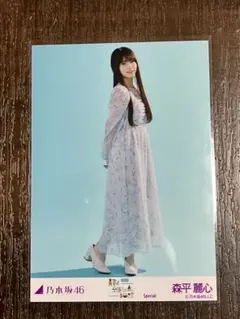 Item thumbnail for item 6c6a4bfd-7837-4378-a60d-edb7d78b1944