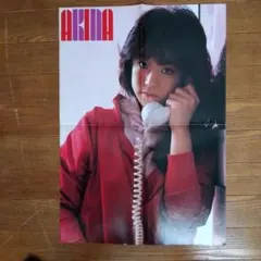 Item thumbnail for item 42da785b-5b8d-4395-9a16-08a4aa2965f1