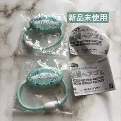 早い者勝ち‼️ サンリオキャラクターズ　刺繍ヘアゴム　シナモロール　2個セット