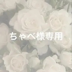 ちゃべ様 リクエスト 2点 まとめ商品