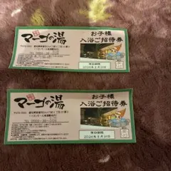 マーゴの湯 入浴招待券 2026年8月31日までのサムネイル