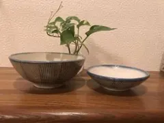 Item thumbnail for item 432945db-af21-499f-990e-d3c9baa84051