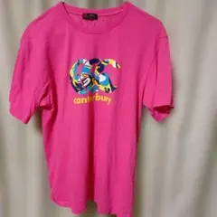 Canterbury カンタベリー レディースロゴプリントT Tシャツ Mのサムネイル
