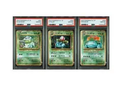 classic フシギダネ フシギソウ フシギバナ 御三家 3連番 PSA10