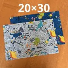 ランチョンマット20×30 恐竜２枚セット　ティラノサウルスのサムネイル