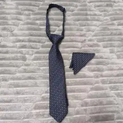 Item thumbnail for item 6dc7c78a-0fc5-4a83-b5dd-4ae4ca224da4