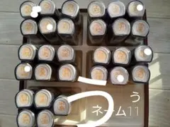 Item thumbnail for item 4e144921-1d8f-4504-a34c-4068e966719b