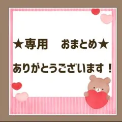 ころ様 リクエスト 3点 まとめ商品