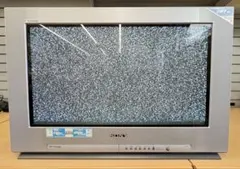 SONYトリニトロン KV-32DRX7 画面異常無 - メルカリ
