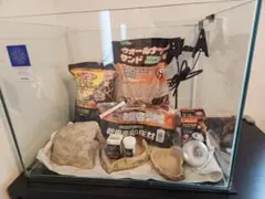 （直接引き取り限定）LEGLASS 爬虫類用飼育ケージ 飼育用品一式のサムネイル