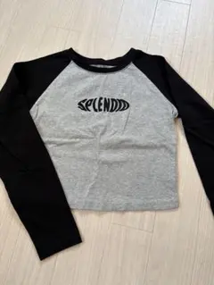 SHEIN Dazy ロゴ クロップドTシャツ M