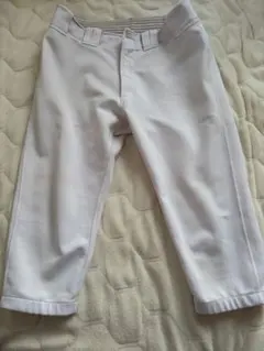 Item thumbnail for item 18aede91-3350-4c4d-9e6b-740750486411