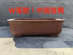 2026年最新】中国 植木鉢 朱泥の人気アイテム - メルカリ