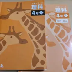四谷大塚 予習シリーズ 4年生 上 12冊セット 最新版 】 四谷大塚 予習シリーズ 5年下 4教科セット 2025 未使用