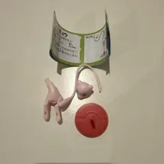 ポケモン チョコエッグ 旅立ちの3匹 シークレット