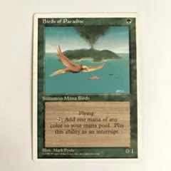 2026年最新】mtg まとめ売りの人気アイテム - メルカリ