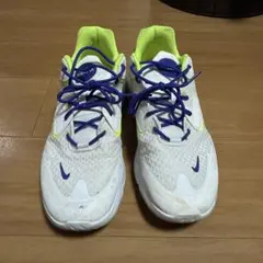 Nike エアクッション スニーカー
