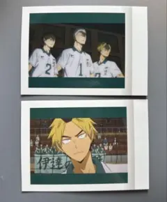 ハイキュー ぱしゃこれ 伊達高 二口 青根 黄金川