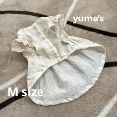 犬服♡可憐な女の子完成！刺繍生地のワンピース♡S、Mサイズ各限定1着！